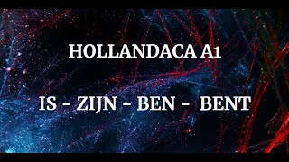 A1 - ZIJN, İS, BEN, BENT (hulpwerkwoorden) Türkçe anlatım