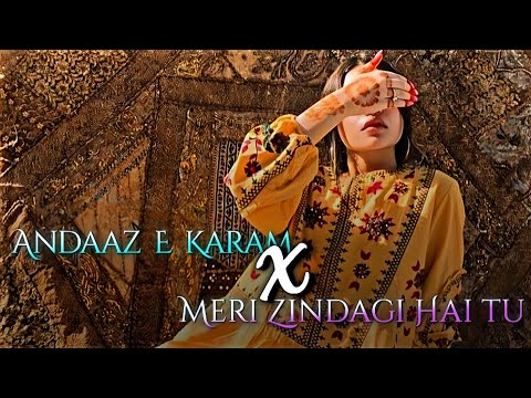 Andaaz E Karam x Meri Zindagi Hai Tu | Madhur Sharma | Asim Azhar | Sad Lofi Mashup |