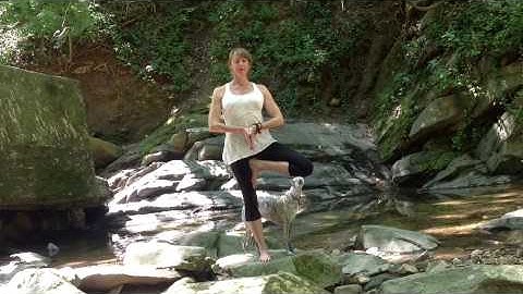 Tree Pose Variations