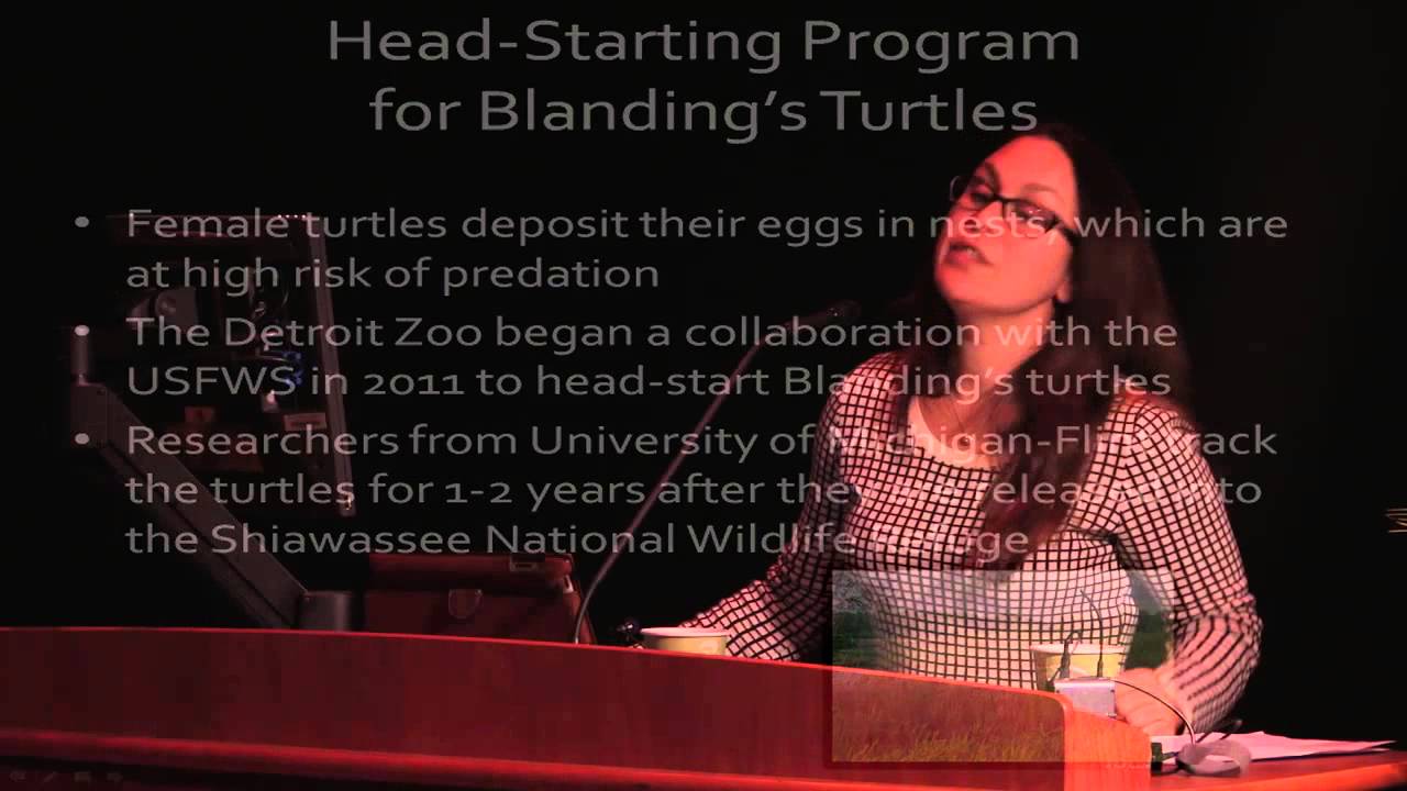 Stephanie Allard - Advancing Animal Welfare Science and Policy 2014