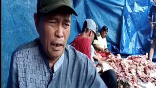 video : TIM MEDIS KESEHATAN HEWAN TEMUKAN CACING HATI PADA HEWAN QURBAN