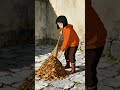 Crisp Autumn Morning 🍂 Sweeping Leaves ASMR #slowliving #asmr #ghibli #autumn #fallvibes #cozyvibes