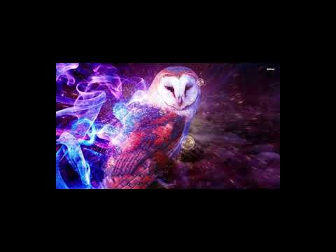 ბუ - ქალის სულში / bu - qalis sulshi