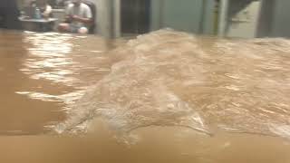 Have You Ever Seen A Wave Flume? Ours is One of The BIGGEST!