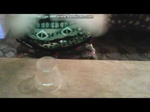 ჭიქაზე დაკვრა