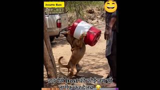 Dogesh Bhai #comedyshort #funny #shortsfeed #comedy #ytshorts #youtubeshorts