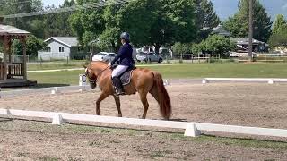 CNC International Working Equitation Championships