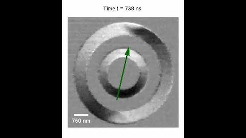 Vortex Domain Wall Motion