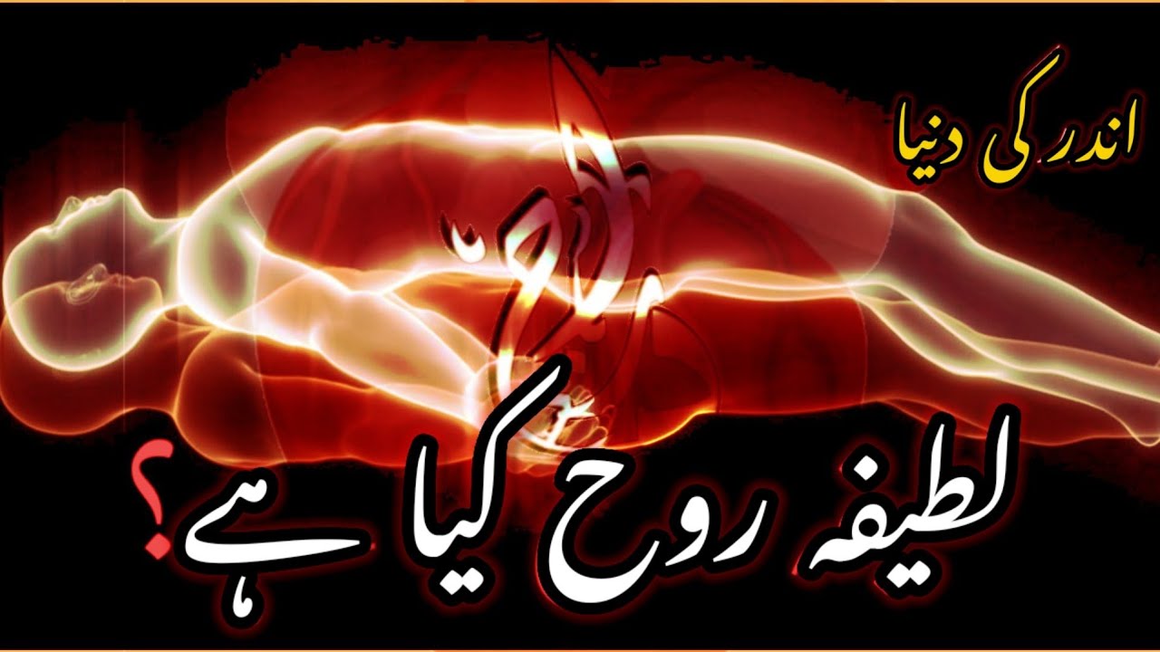 Lateefa Rooh kya hai ? || Rohaniyat video 2 || urdu and Hindi || lataif e Sitta ||