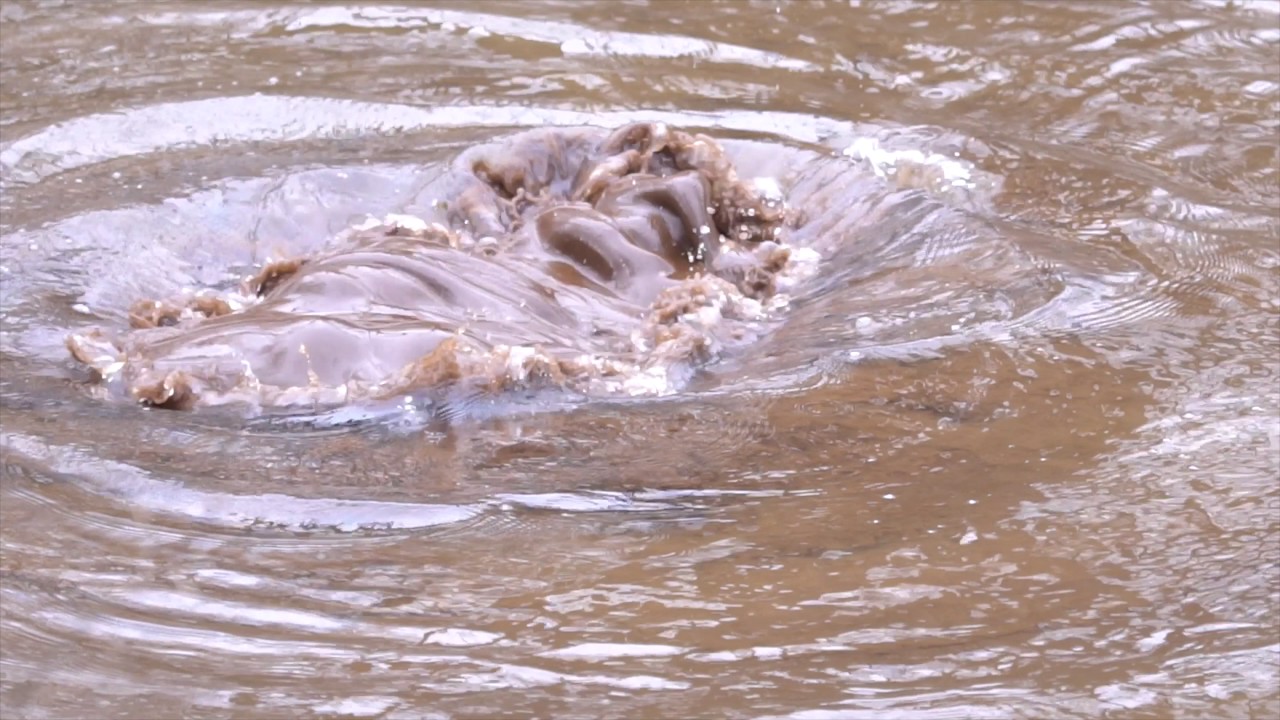 Boiling Springs Savage MN 4K and slowmotion YouTube