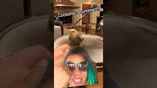 Cockatiels are SO rhythmic!!! #cockatiel #cockatoo #drummer
