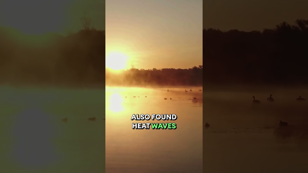 Heat Waves Are Getting Slower☀️