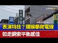 表演特技？獼猴攀爬電線 如走鋼索平衡感佳