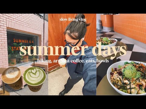 summer in vancouver vlog ✨🌻🐈 I arabica coffee, life in vancouver, hiking, summer vibes, food + cat