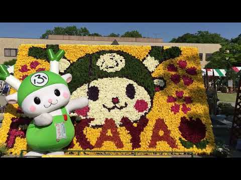 2018.04.28　ふかや花フェスタ