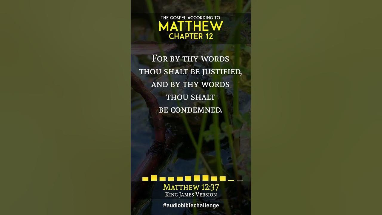 matthew-12-verse-35-39-kingdom-legacy-family-bible-shorts-read-by