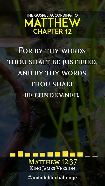 matthew-12-verse-35-39-kingdom-legacy-family-bible-shorts-read-by