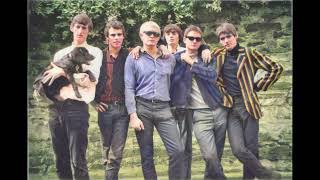 The Masters Apprentices - Undecided INSTRUMENTAL  -  Rare Garage Rock
