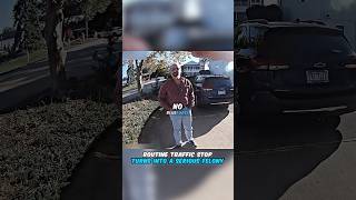 Traffic Stop Turns Into Felony 😱