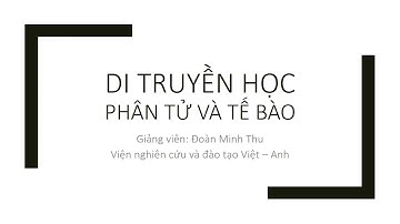NVSP ĐHĐN 2018 - Đoàn Minh Thu