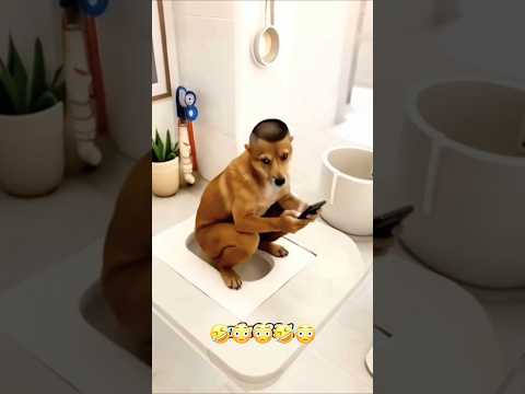 لما الكلب يعملها معاكي