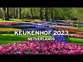  keukenhof 30 avril 2023  paysbas   4k