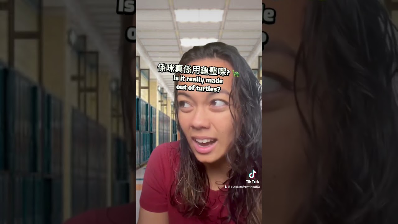 What’s turtle Jelly? 