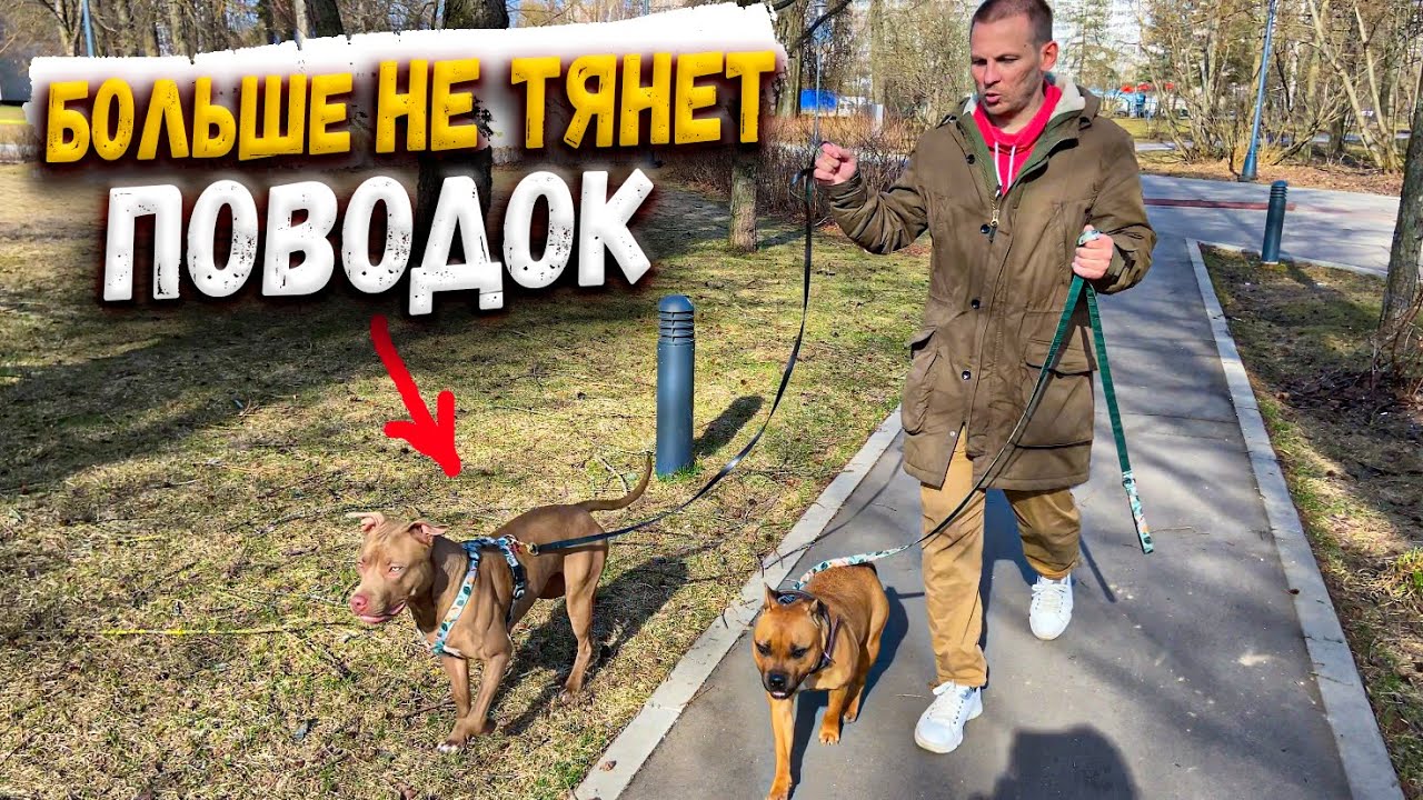 Солярис перестал тянуть