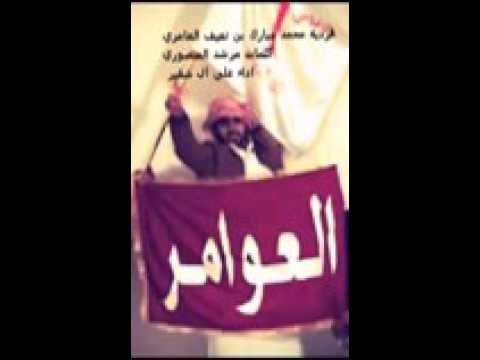 شيله في العوامر عيال الشيبه