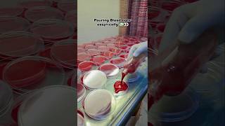 Blood Agar Preparation