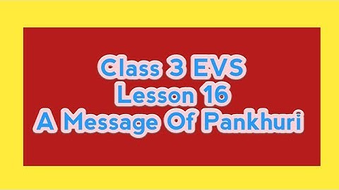 class 3 evs lesson 16 A Message Of Pankhuri