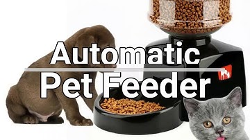 Automatic Pet Feeder With Voice Message Recording And LCD Screen