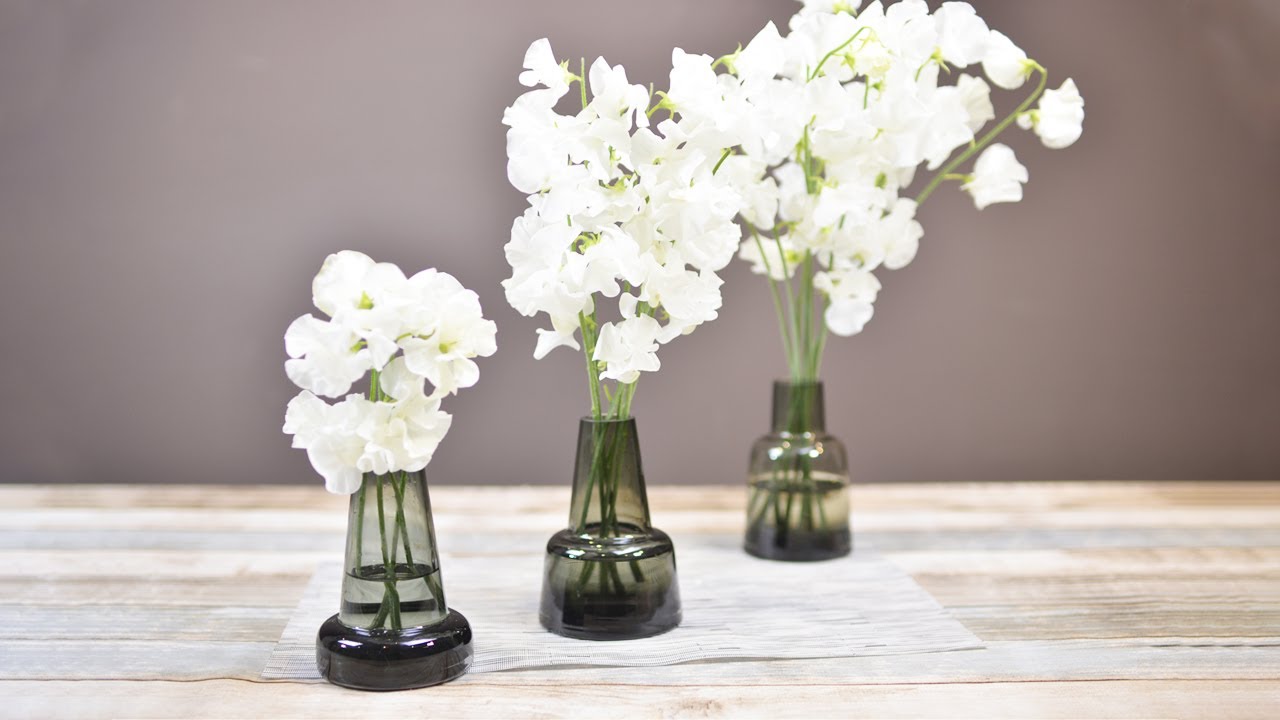 形 の 違う 花瓶 に スイートピー を 飾る Youtube