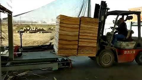 Core veneer peeling line with auto stacker automatic chain conveyor after veneer stacking