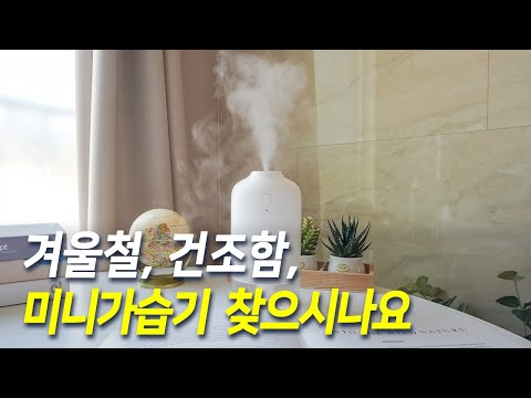 오아 듀얼미스트 미니가습기