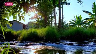 Hidden Babbling Brook Retreat 🌲 Relaxing Piano for Stress Relief | 10 Hours