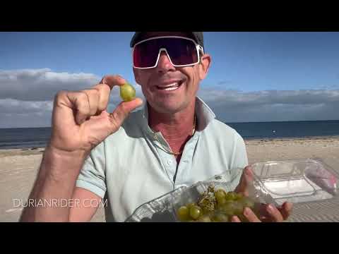 Intermittent Fasting And Keto Diet Results Lose Weight Fast In 1 Month