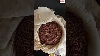 Ragi Sprouts  ragi ragisprouts sprouting sproutingseeds sproutingprocess fingermillet