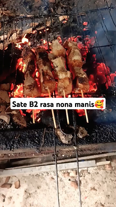 Banyak yang tanya 🤔💭 sate ini untuk nona manis🥰 #music #bakarsate #memasak #shortsvideo