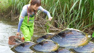 Girl Helping Mom Finds 100-Year-Old Mutated Mussel. A priceless pearl brings family sudden wealth