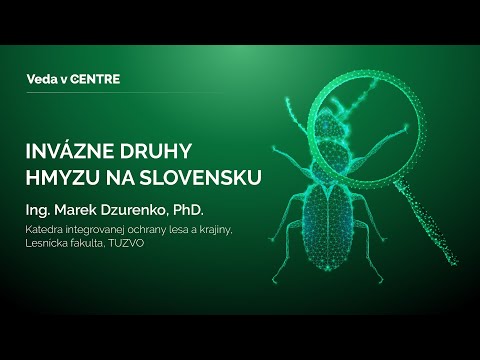 Video: Vijačka chrobáka: krásny škodca