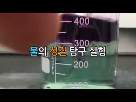 [실험] 물의 성질 탐구 실험