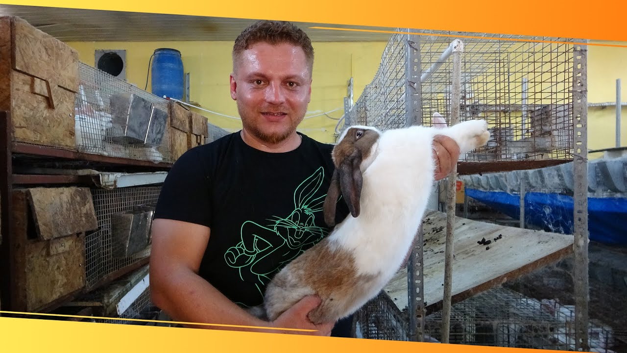 Öğretmenliği Bıraktı Tavşan Çiftliği Kurdu