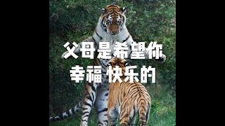 201805 父母是希望你幸福 快乐的25579