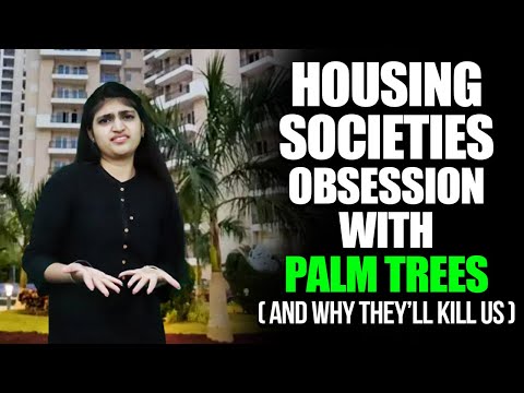 Palm trees in Delhi NCR societies – A dangerous trend that threatens the entire ecosystem