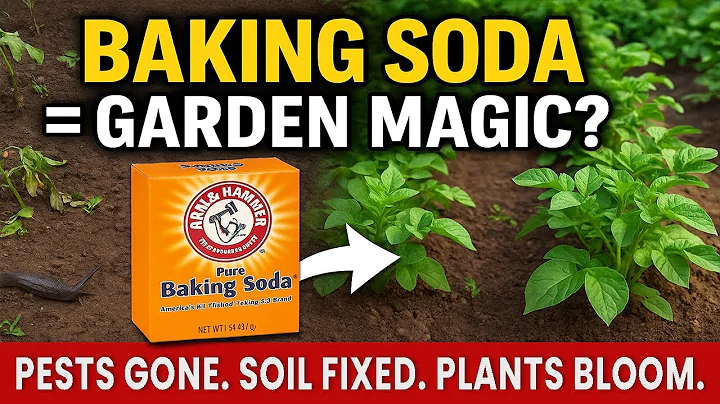How to Use Baking Soda in the Garden: 17 Powerful Tips for Healthy Plants & Pest-Free Growth thumbnail