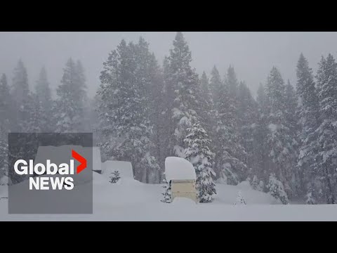 Blizzard in California whites out forests, highways as historic winter storm continues