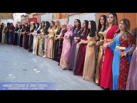 MUHTEŞEM HALAY HAKKARİ