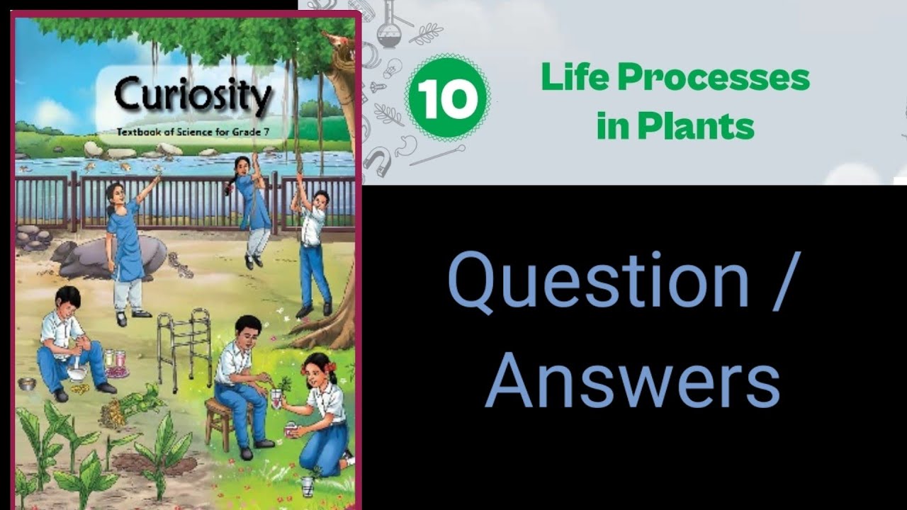 Life Processes in Plants | chapter 10 | class 7 | science | ncert ...