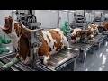 Inside Mega Factory: How Red Brahman Bull Leather Becomes Luxury Airline Seats Worldwide!
